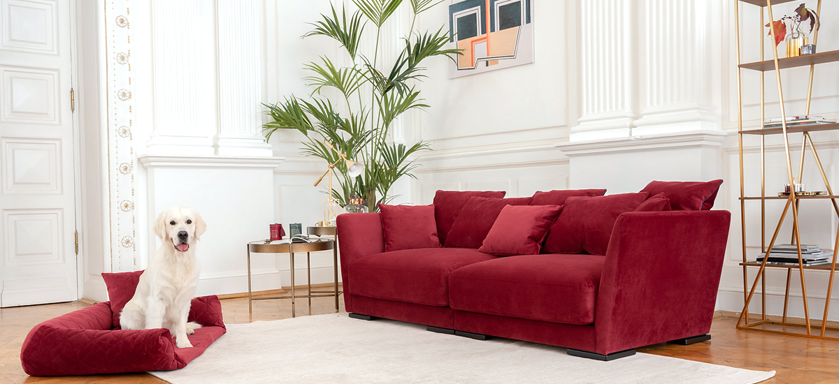 Модульный диван в интерьере гостиной – Фото идеи оформления